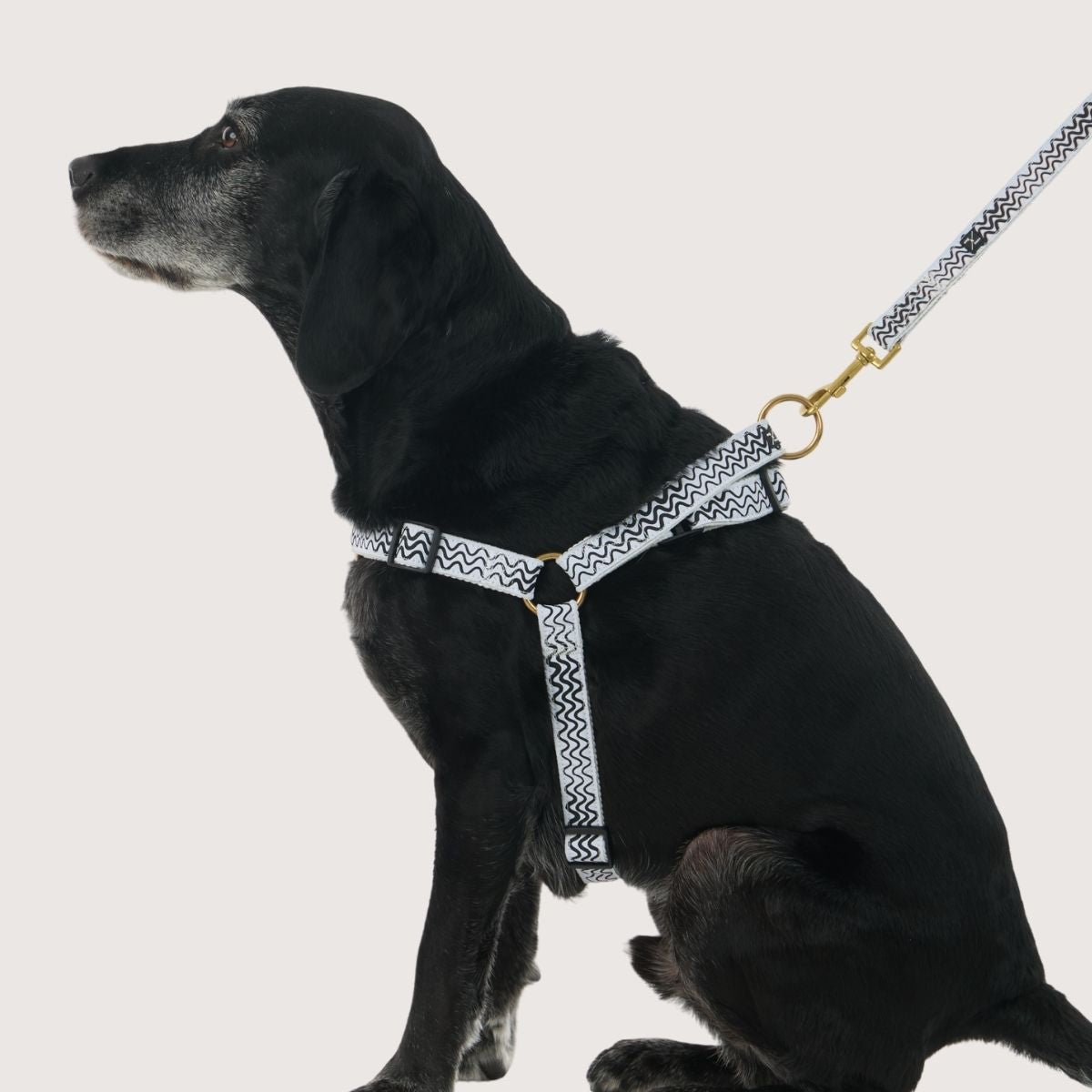 Hemp Dog Harness - Black Wave Print