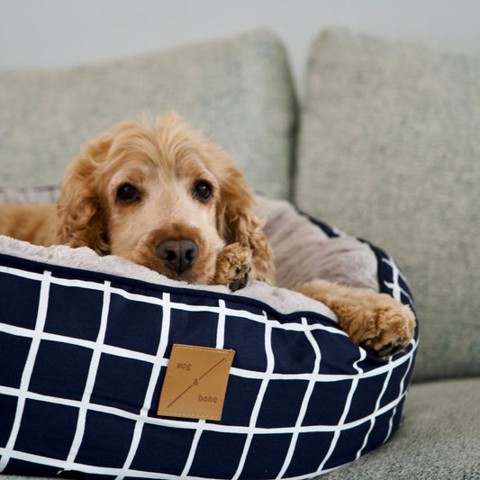 4 Seasons Reversible Circular Dog Bed - Navy Check