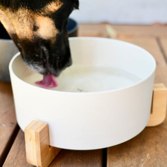 Bamboo Dog Bowl -Single with Stand - Natural