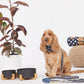 Bamboo Dog Bowl - Single with Stand - Black