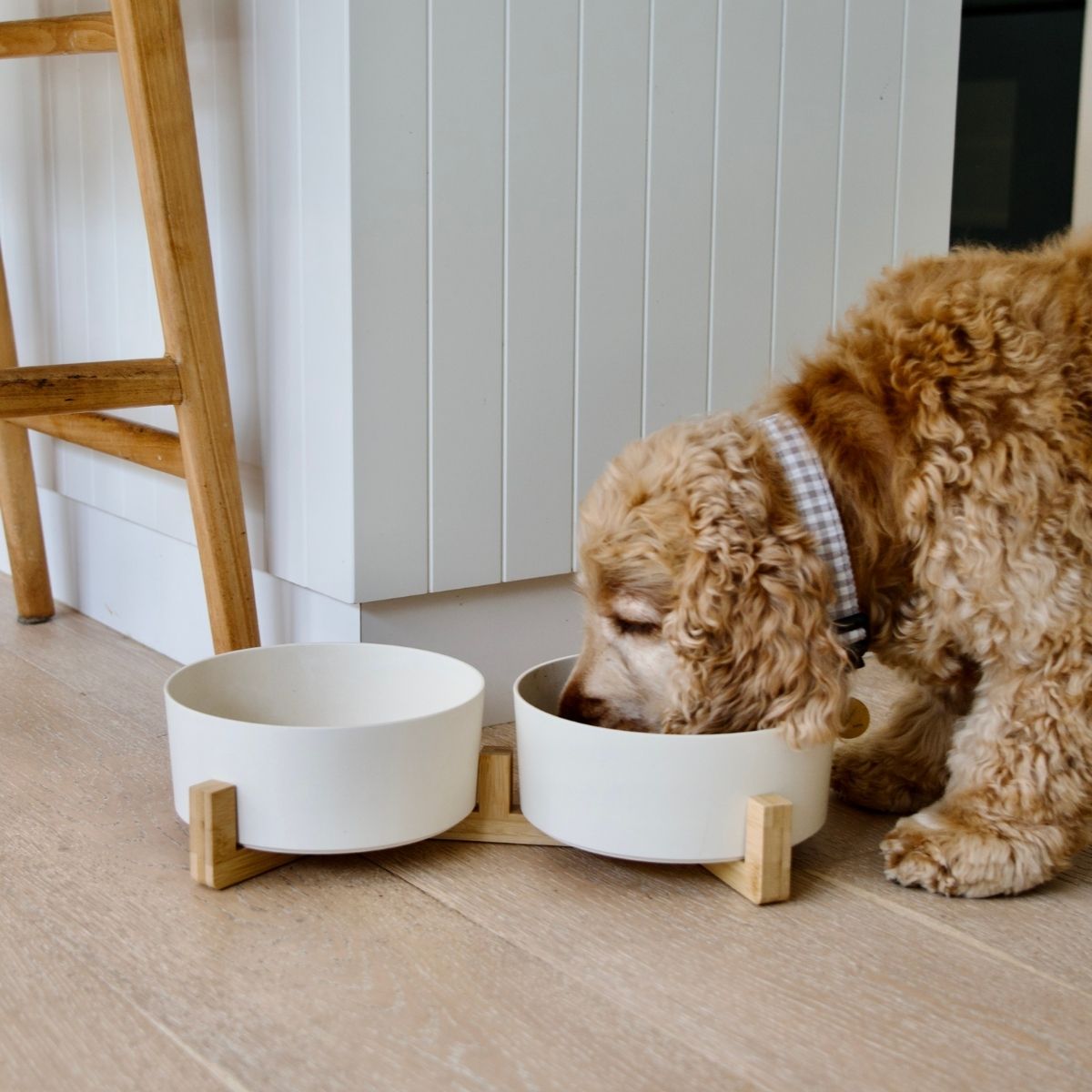 Bamboo Dog Bowls - Double with Stand - Natural