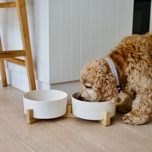Bamboo Dog Bowls - Double with Stand - Natural