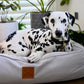 Bolster Dog Bed- Grey Mist