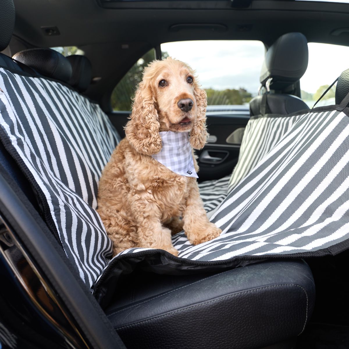 Dog Car Seat Cover - Charcoal Hamptons Stripe
