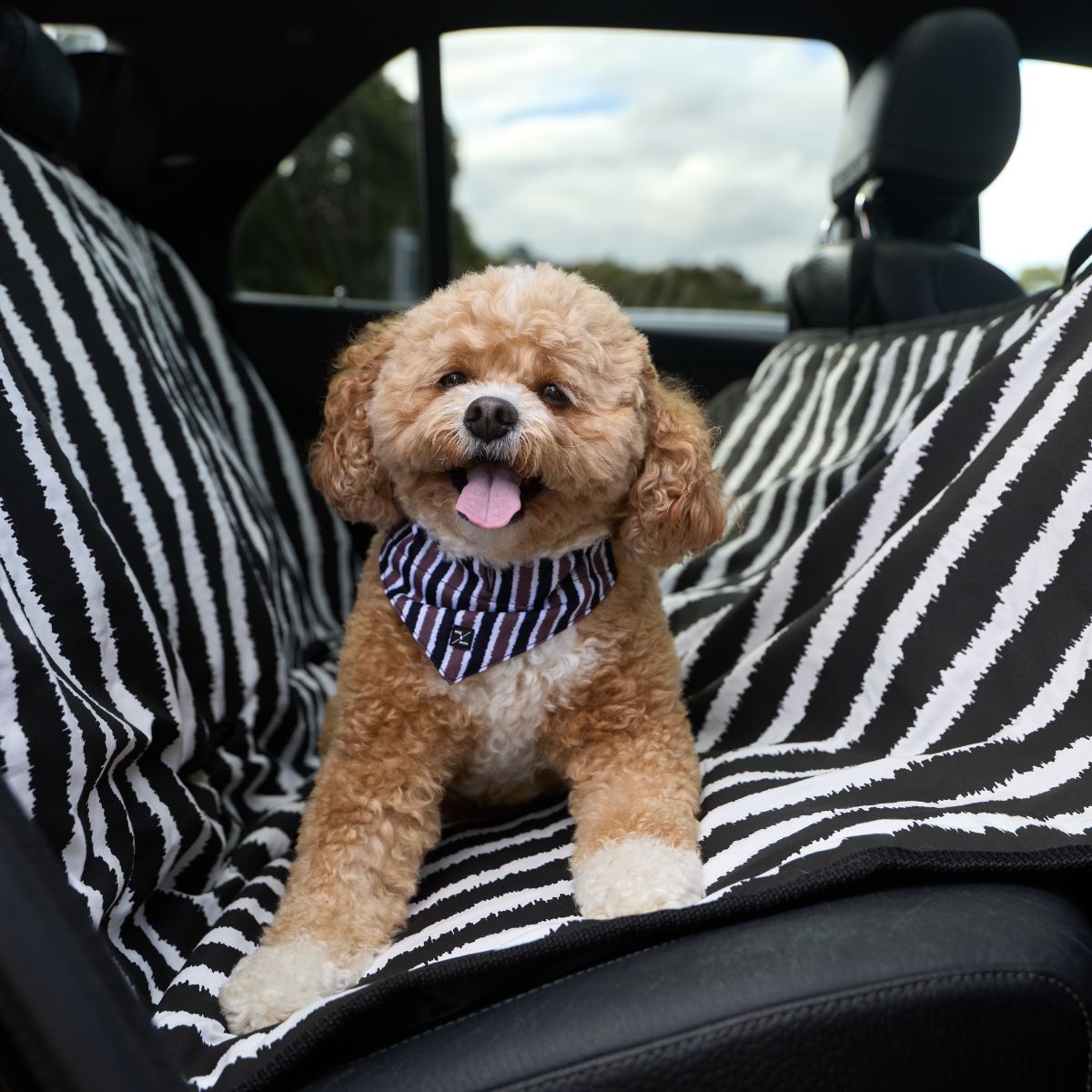 Dog Car Seat Cover - Black Artisan Print