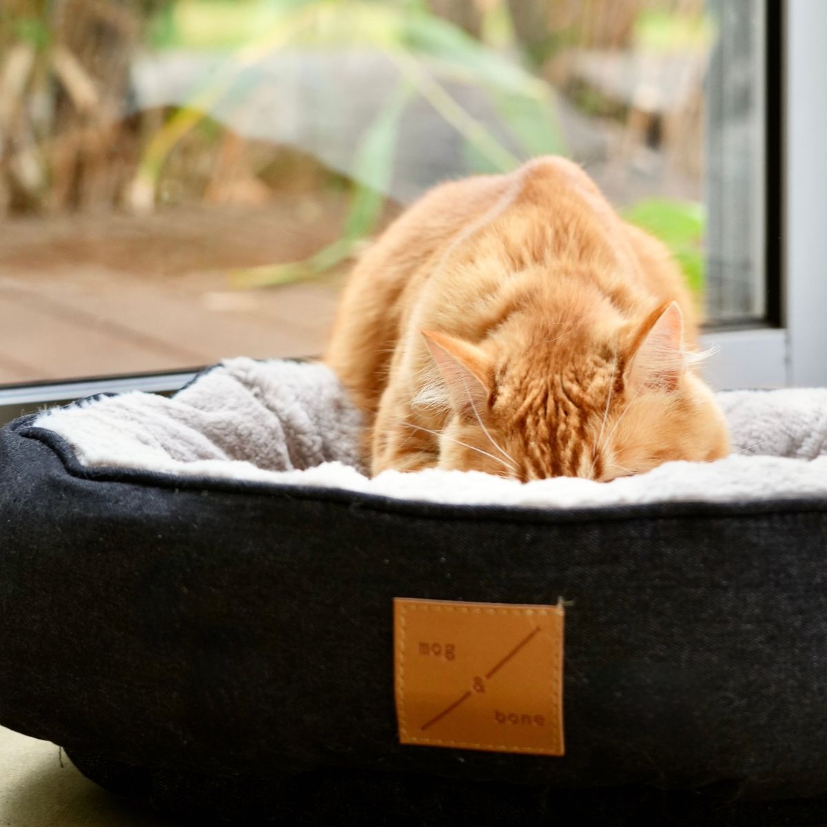 Orange cat lying on a black pet bed with a brand label, indoors.