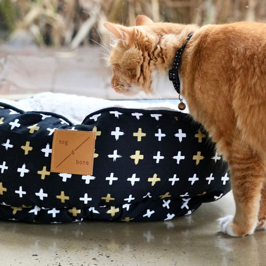 Cat standing next to a black pet bed with white and yellow patterns, featuring a 'Mog & Bone' label.