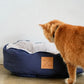 Cat standing next to a blue pet bed with a visible brand label on a light background