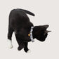 Cat Collar - Hemp - Charcoal Hamptons Stripe