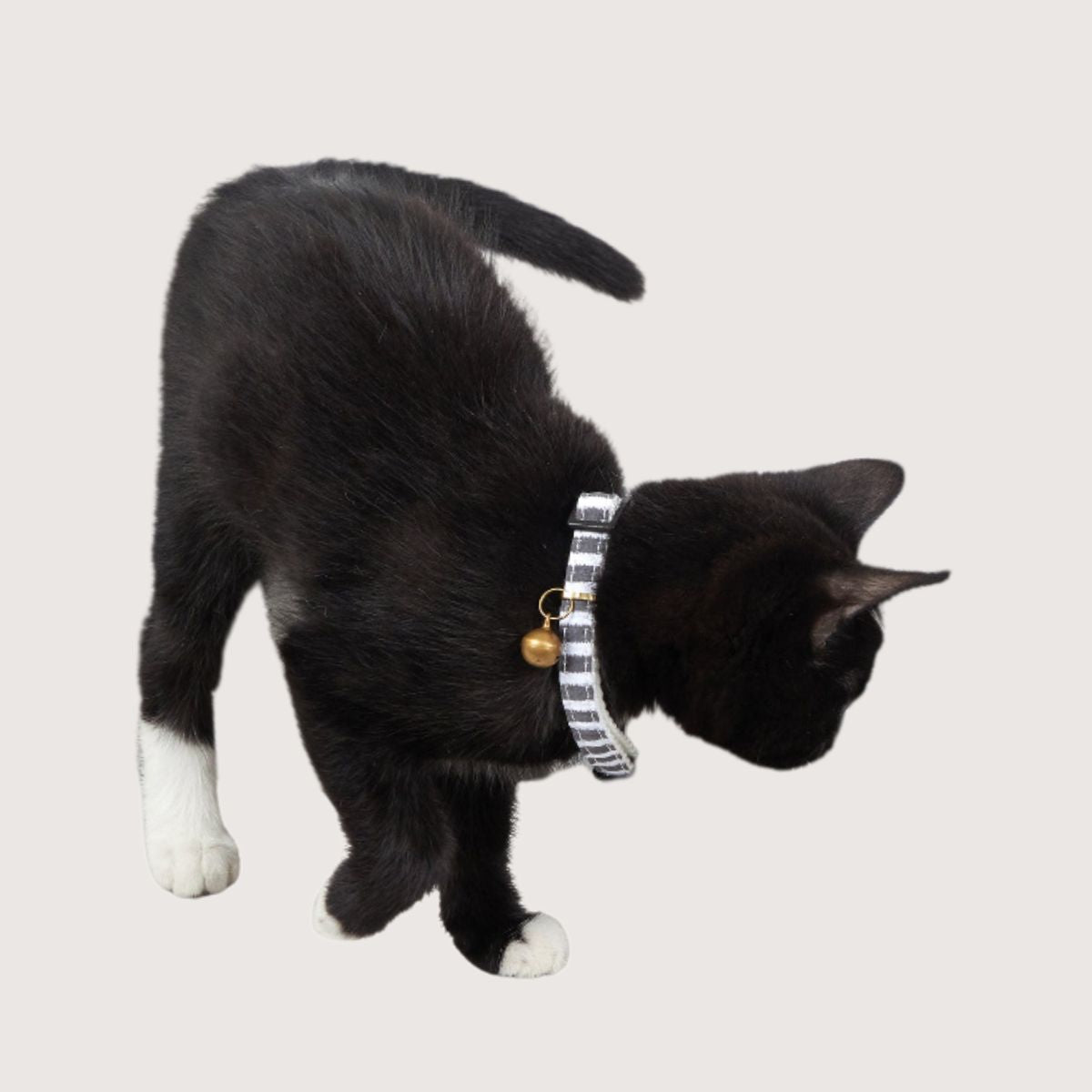 Cat Collar - Hemp - Charcoal Hamptons Stripe