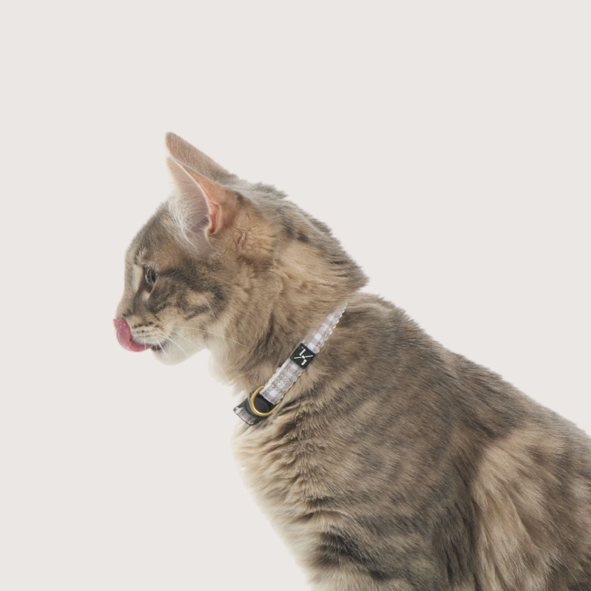 Cat Collar - Hemp - Mocha Gingham Print