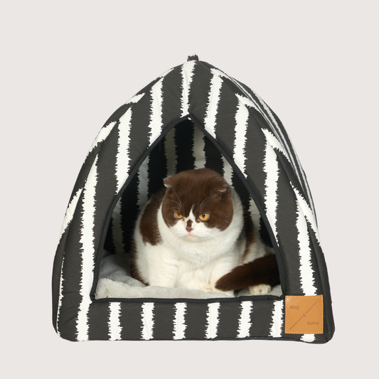 Cat Igloo - Black Artisan Print