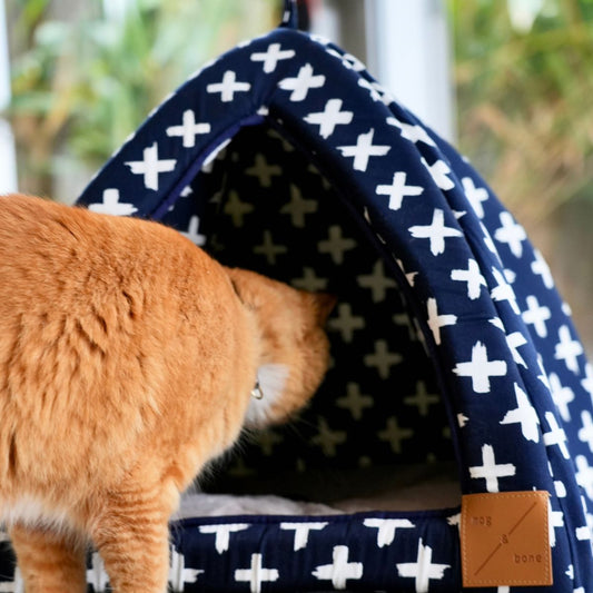 Cat standing next to a blue pet bed with white cross patterns