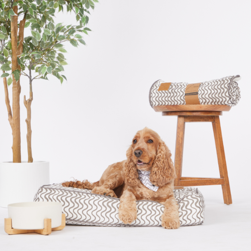 Cushion Dog Bed - Mocha Wave Print