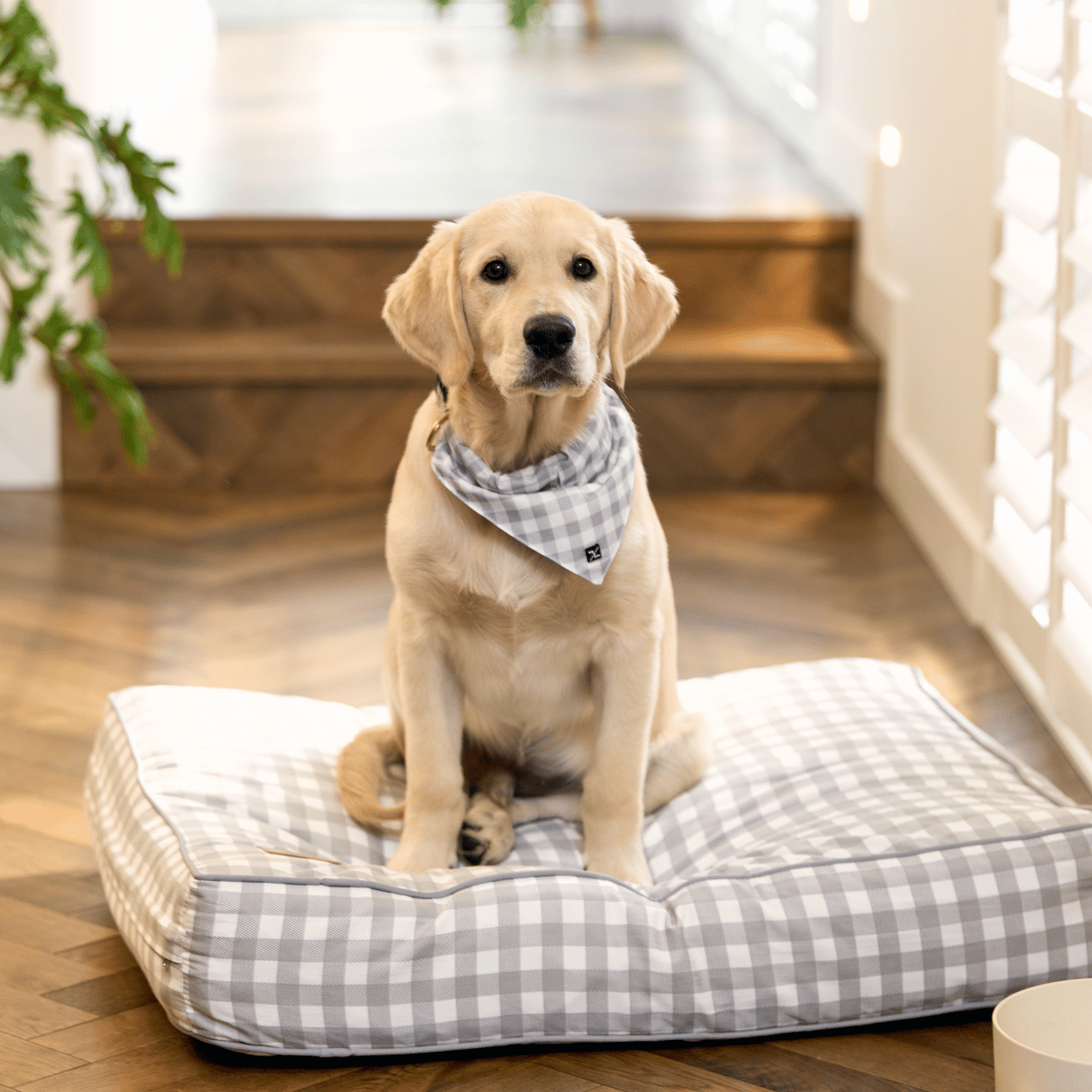 Cushion Dog Bed - Grey Gingham Print