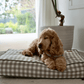 Cushion Dog Bed - Mocha Gingham Print