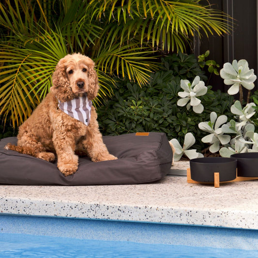 Cushion Dog Bed - Waterproof