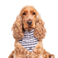 Dog Bandana - Black Mosaic Print