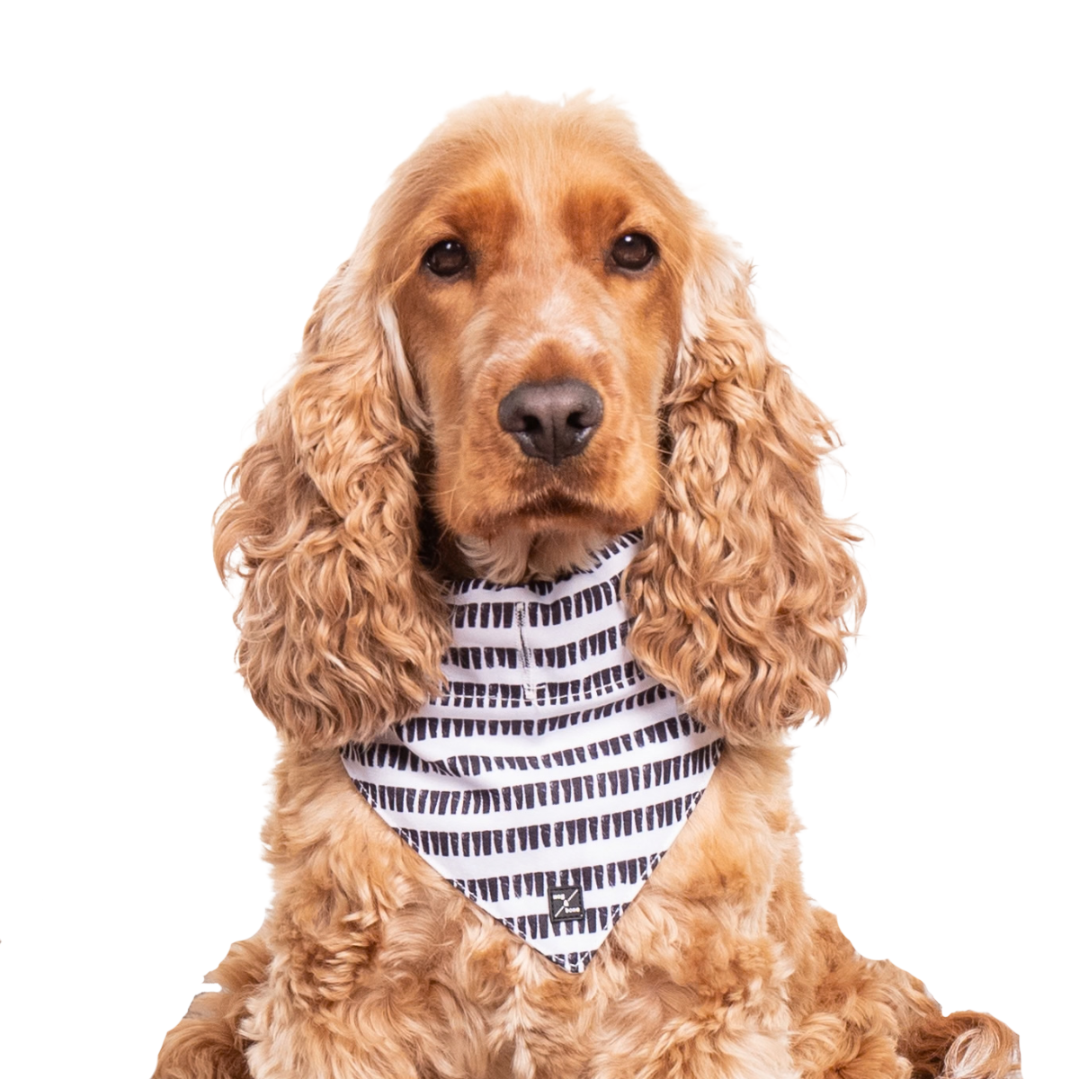 Dog Bandana - Black Mosaic Print