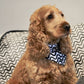 Dog Bandana - Black Wave Print