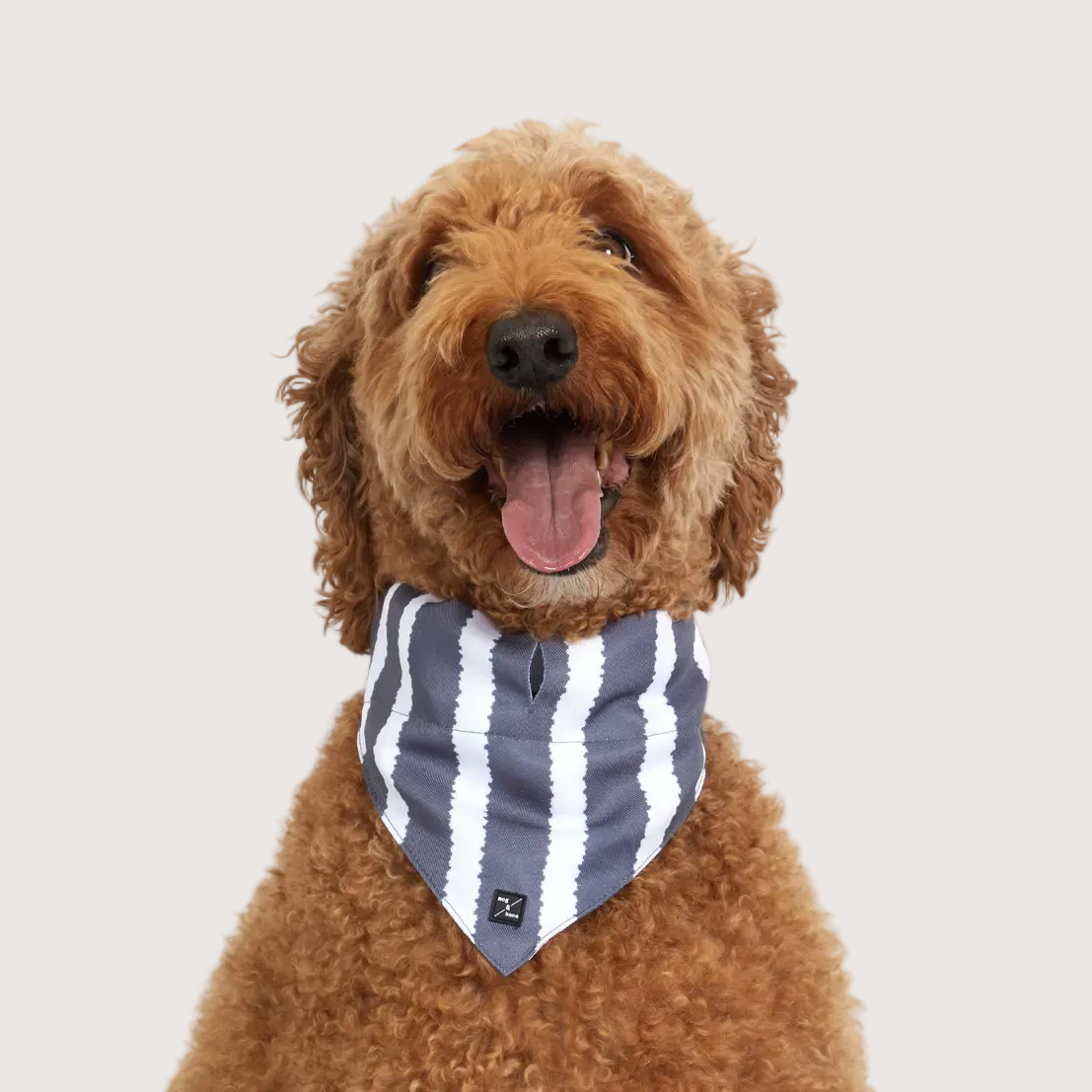 Dog Bandana - Charcoal Hamptons Stripe Print