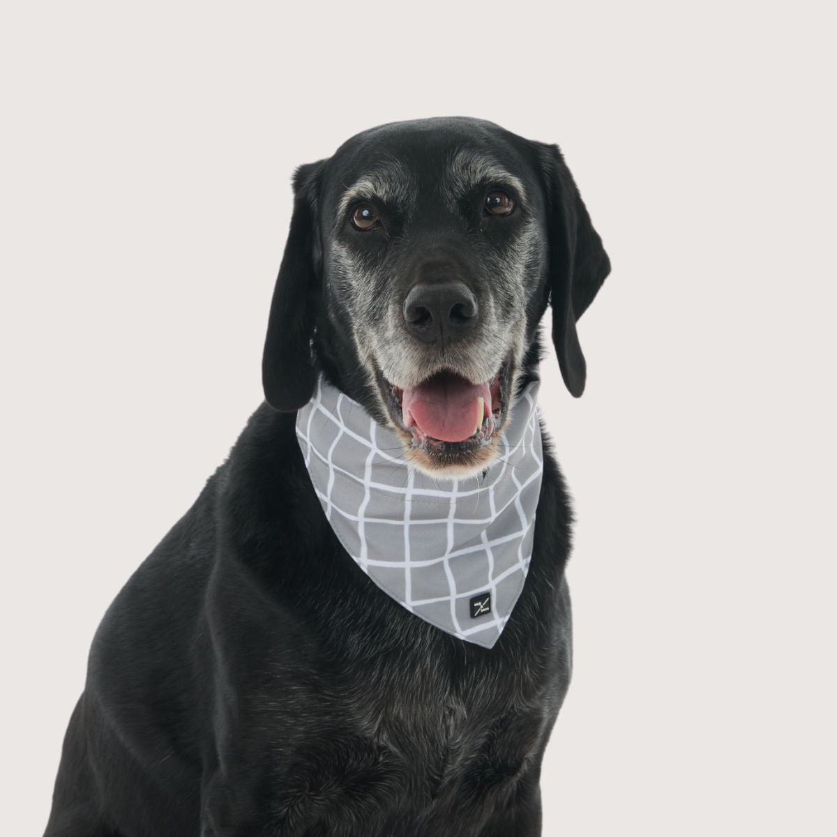 Dog Bandana - Grey Check Print