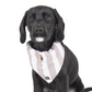 Dog Bandana - Latte Hamptons Stripe Print