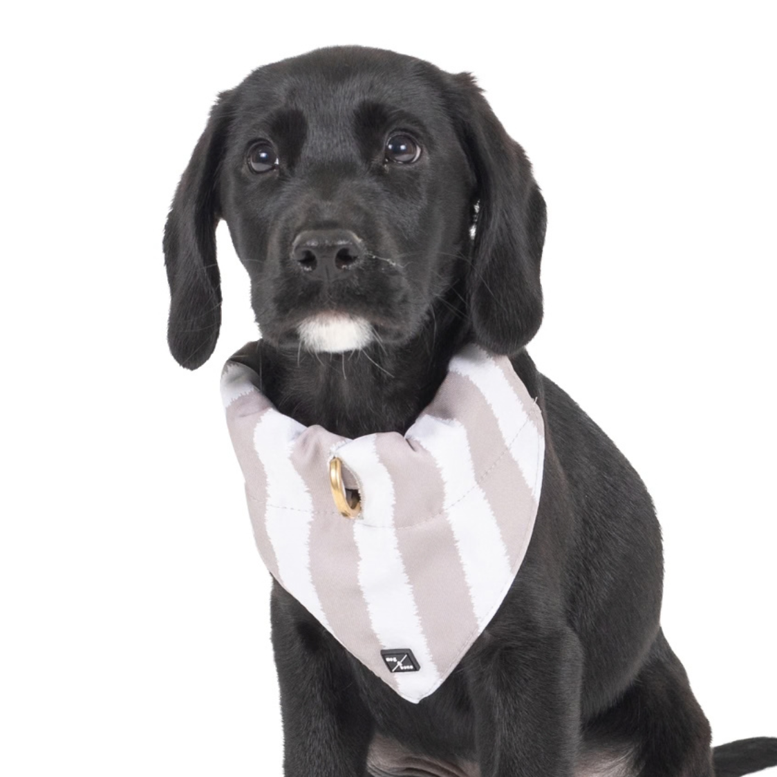 Dog Bandana - Latte Hamptons Stripe Print