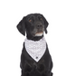 Dog Bandana - Mocha Wave