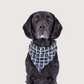 Dog Bandana - Navy Check Print