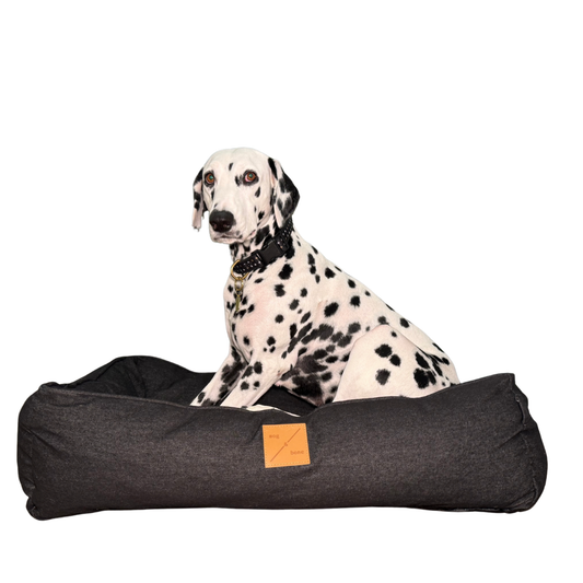 Dalmatian dog sitting on a black denim pet bed with a visible brand logo.