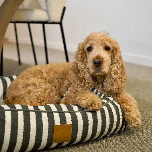 Bolster Dog Bed  - Charcoal Hampton Stripe Print