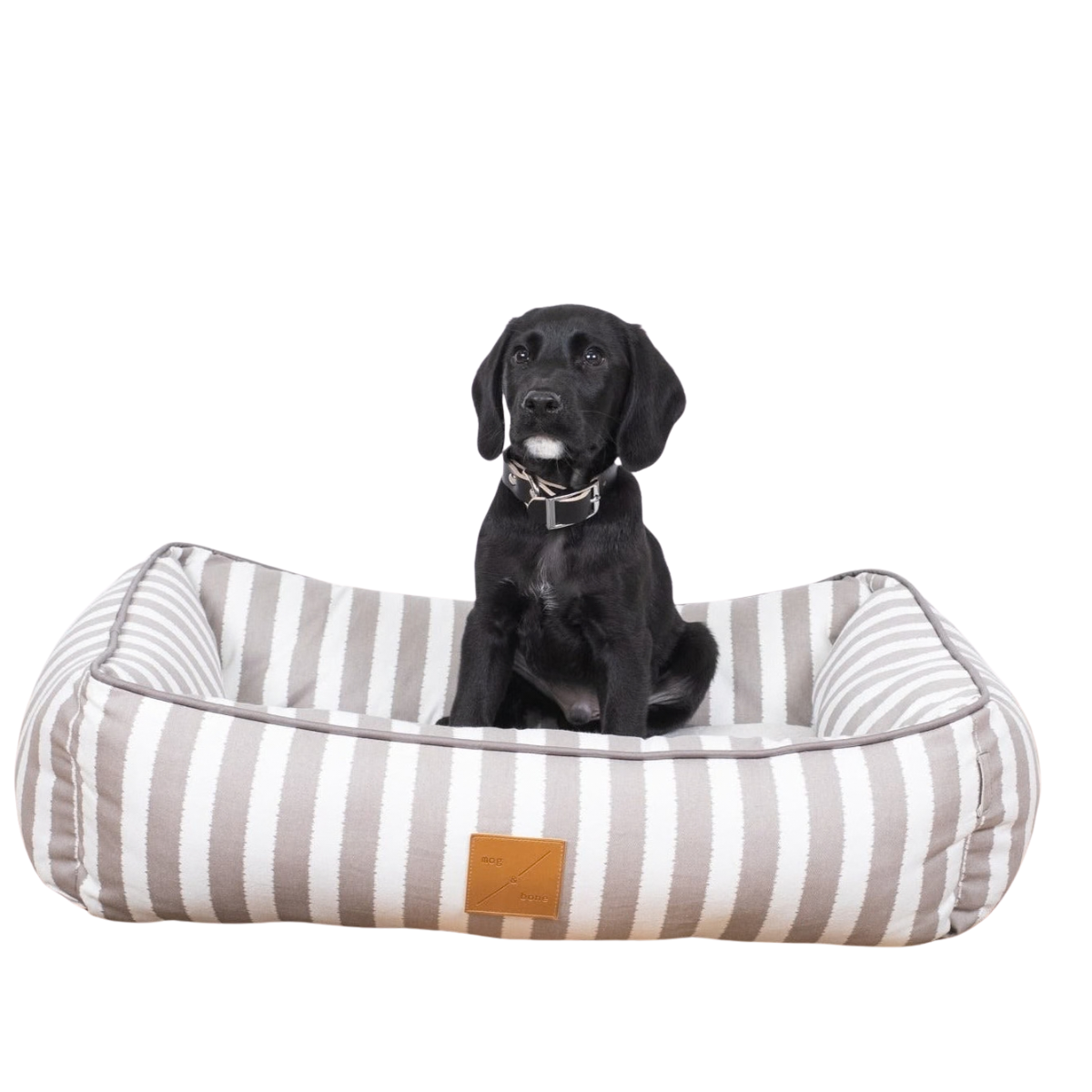 Bolster Dog Bed  - Latte Hampton Stripe