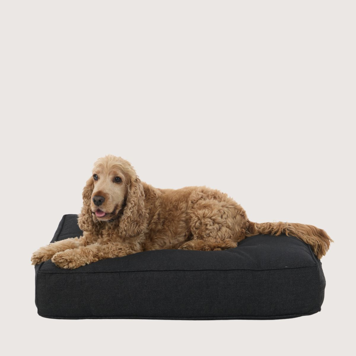 Cushion Dog Bed - Black Denim