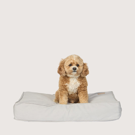 Cushion Dog Bed - Grey