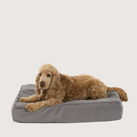 Cushion Dog Bed - Mocha