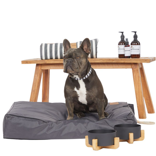 Dog sitting on a gray pet bed with a wooden table in the background featuring pet care products.