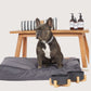 Dog sitting on a gray pet bed with a wooden table in the background featuring pet care products.