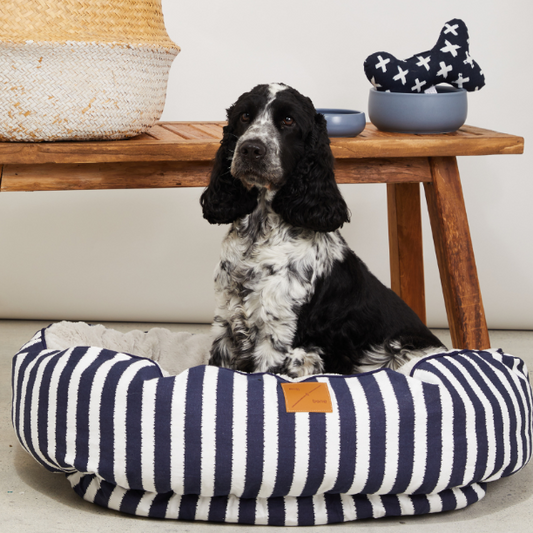 Dog sitting on a striped dog bed with a wooden table in the background