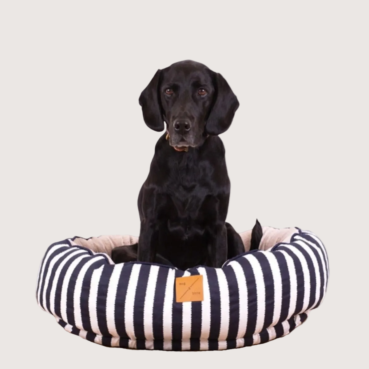 Navy Hampton's Stripe Print