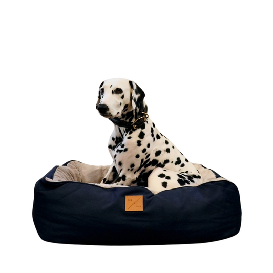 Dalmatian dog sitting on a navy blue pet bed with grey fleece interior 