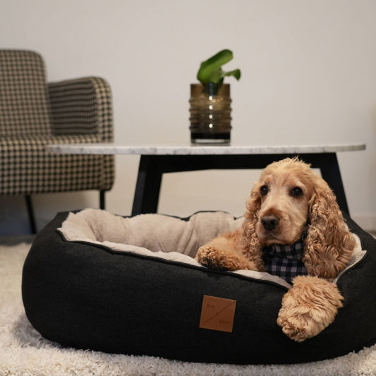 4 Seasons Reversible Circular Dog Bed - Black Denim