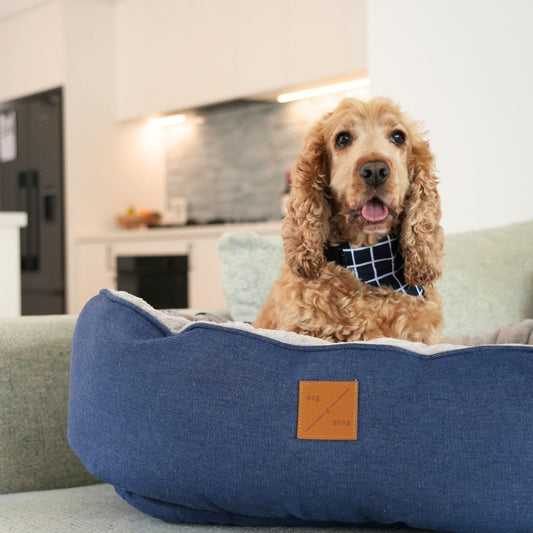 4 Seasons Reversible Circular Dog Bed - Blue Denim