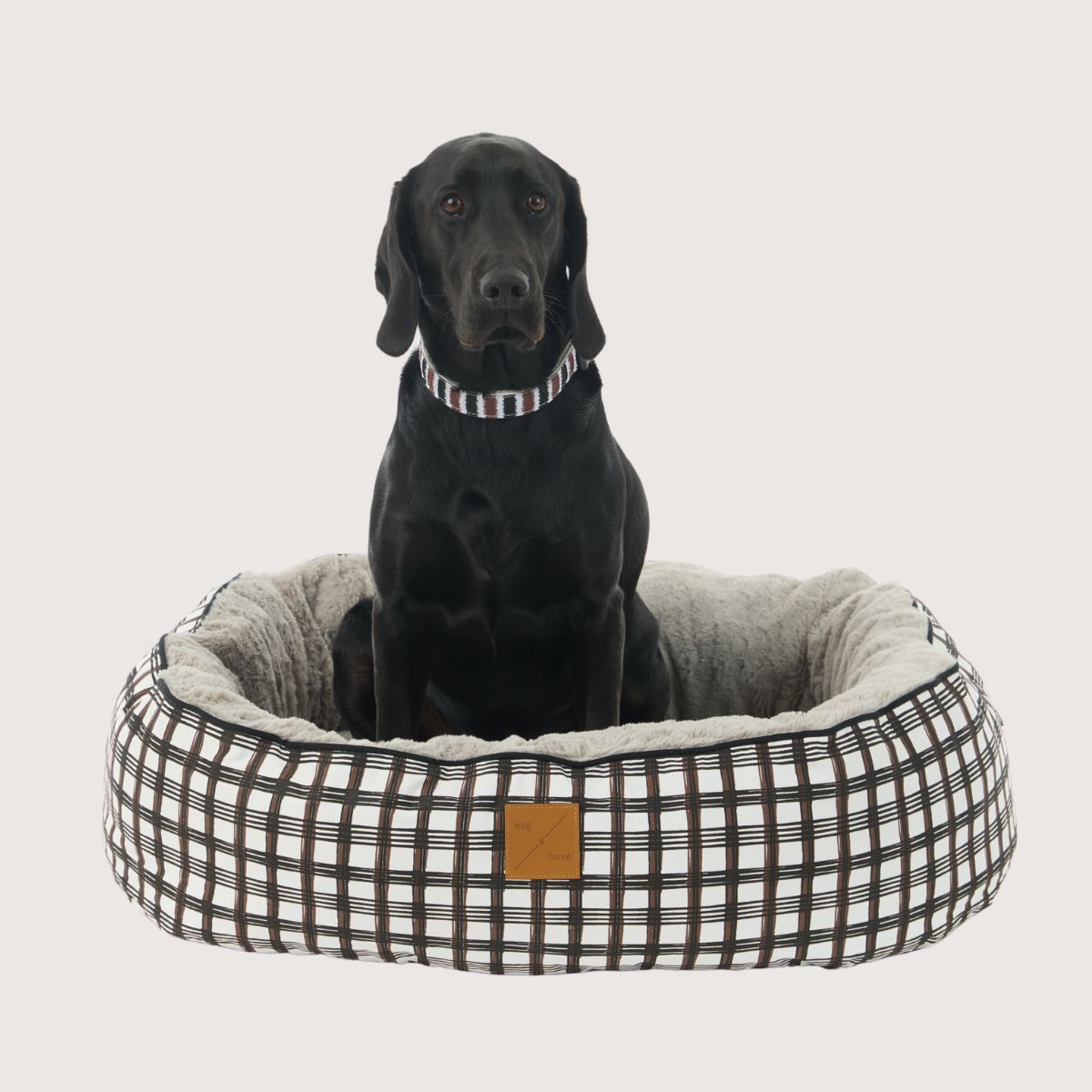 Cocoa / Black Plaid Print