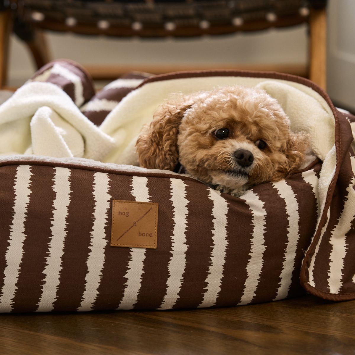 4 Seasons Reversible Circular Dog Bed - Cocoa Artisan Print