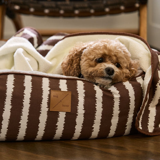 4 Seasons Reversible Circular Dog Bed - Cocoa Artisan Print