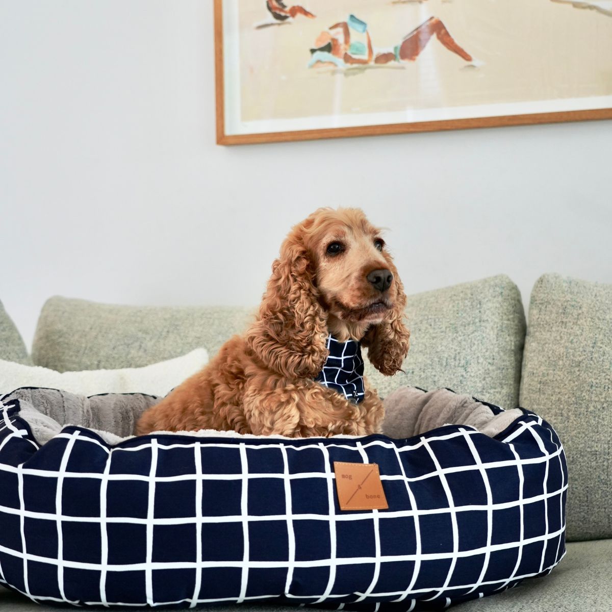 4 Seasons Reversible Circular Dog Bed - Navy Check