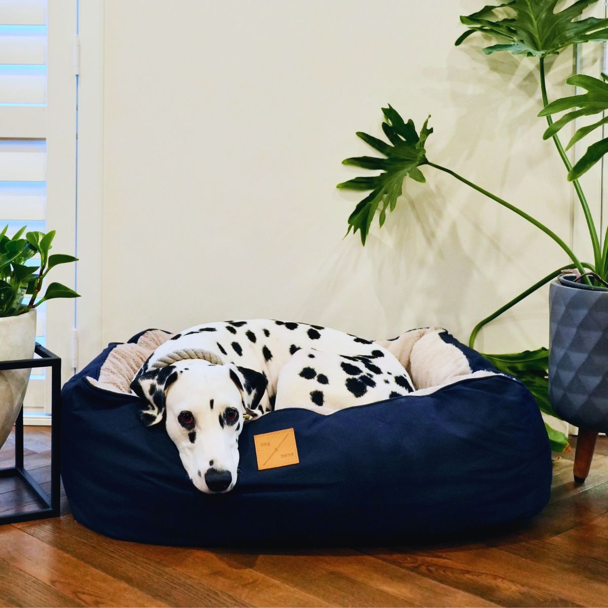 4 Seasons Reversible Circular Dog Bed - Navy