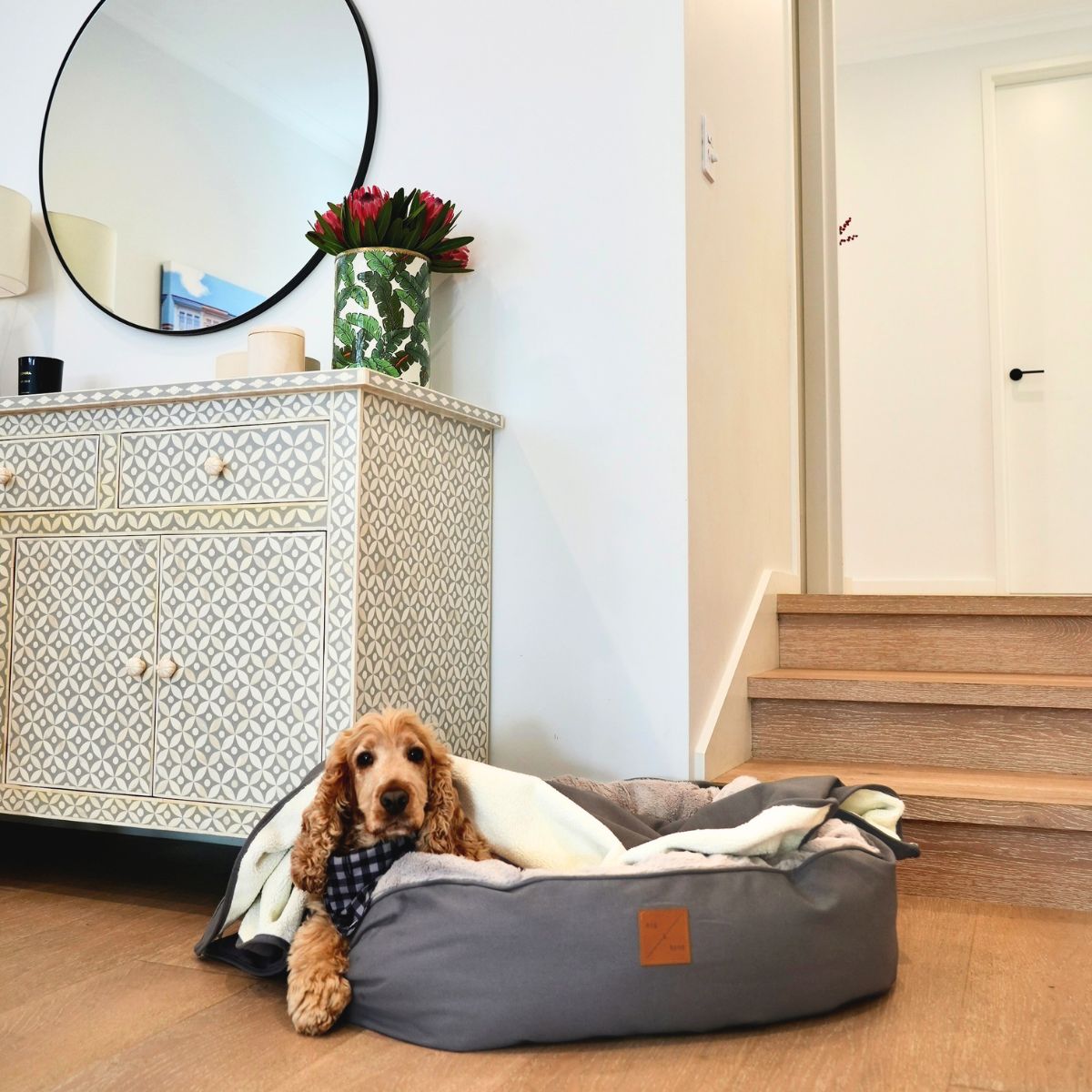 4 Seasons Reversible Circular Dog Bed - Mocha