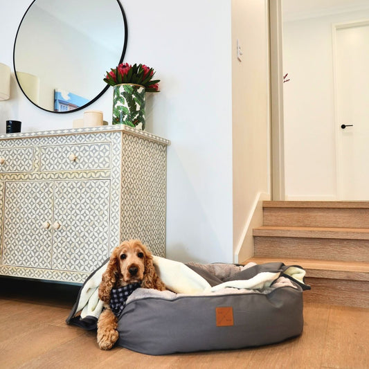 4 Seasons Reversible Circular Dog Bed - Mocha
